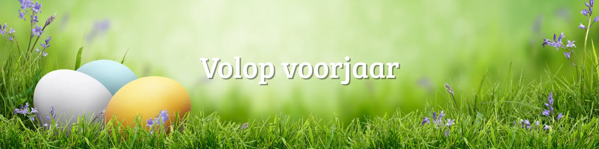 Volop voorjaar voorpagina