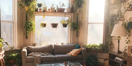 De mooiste hangplanten voor binnen: voeg stijl en natuur toe aan je interieur