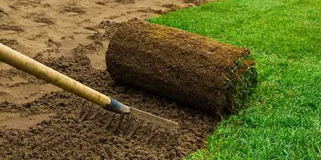 Hoe leg je Graszoden: in 6 snelle stappen