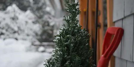 Tuin winterklaar maken: Zo bereid je je tuin voor op de winter