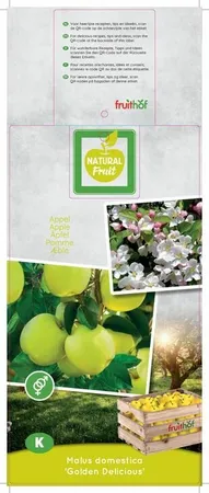 (05) MALUS DOM. GOLDEN DELICIOUS LAAGST - afbeelding 2
