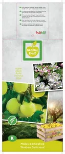 (05) MALUS DOM. GOLDEN DELICIOUS LAAGST - afbeelding 2