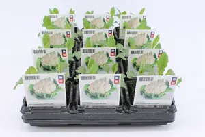 (07) BIO KOOL, BLOEMKOOL