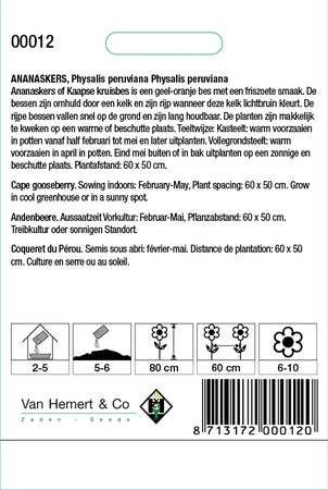 Ananaskers - afbeelding 2