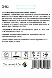 Ananaskers - afbeelding 2