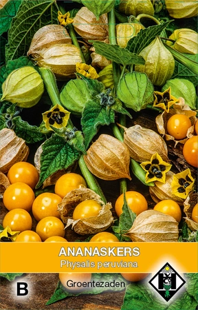 Ananaskers - afbeelding 1