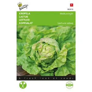 BUZZY® KROPSLA MEIKONINGIN