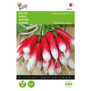 BUZZY® RADIJS FRENCH BREAKFAST 3