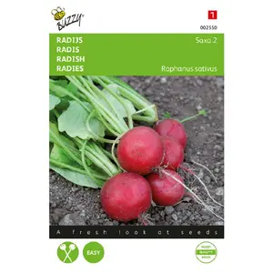 BUZZY® RADIJS SAXA 2