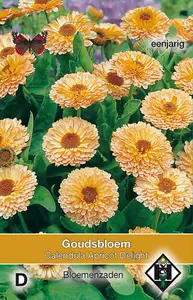 Goudsbloem