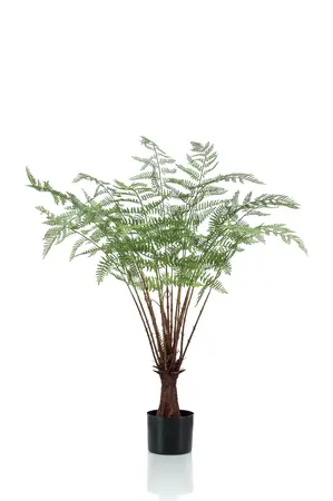 FERN PLANT 100CM