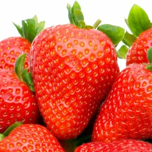 FRAGARIA SWEET EVE P10,5 - afbeelding 2