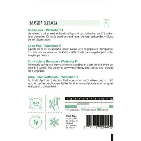 Boerenkool 'Reflex' F1 - afbeelding 2