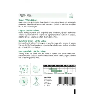 Bosui 'White Lisbon' - afbeelding 2