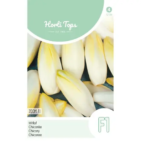 Brussels Witlof 'Zoom' F1 - afbeelding 1