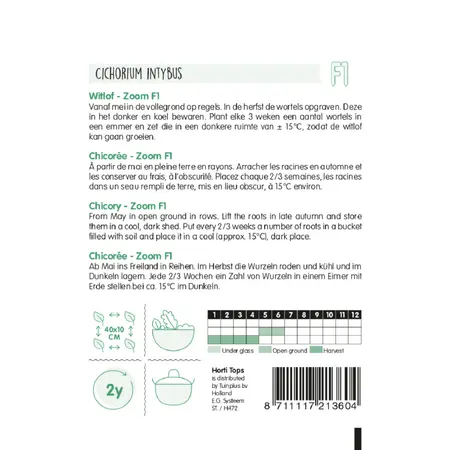 Brussels Witlof 'Zoom' F1 - afbeelding 2