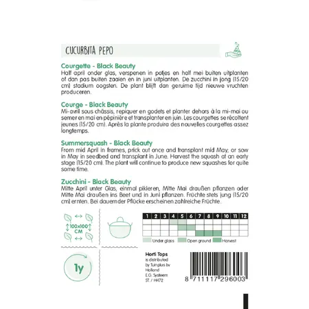 Courgette Black Beauty - afbeelding 2