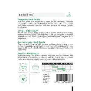 Courgette Black Beauty - afbeelding 2