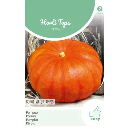 Pompoenen 'Rouge vif d'Etampes' - afbeelding 1