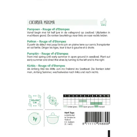 Pompoenen 'Rouge vif d'Etampes' - afbeelding 2