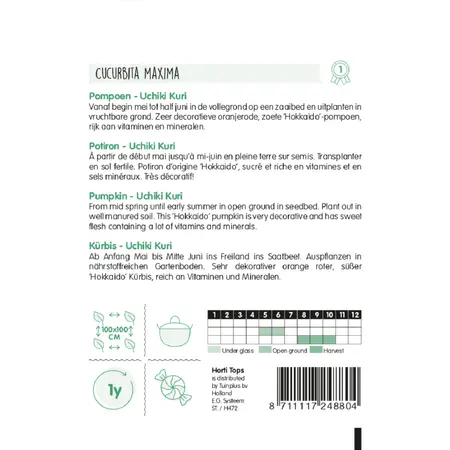 Pompoenen 'Uchiki Kuri' - afbeelding 2