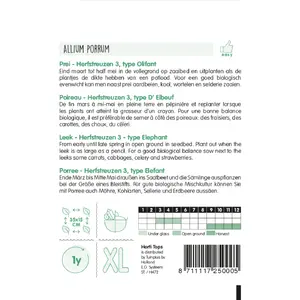 Prei 'Herfstreuzen 3' Type Olifant - afbeelding 2