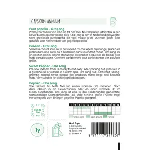 HT PUNTPAPRIKA ORA LONG (GEEL) - afbeelding 2