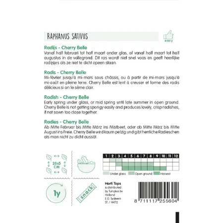 Radijs 'Cherry Belle' - afbeelding 2