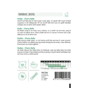 Radijs 'Cherry Belle' - afbeelding 2