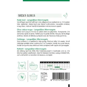 Rode Kool 'Langedijker Allervroegste' - afbeelding 2