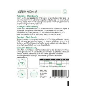 Aubergine 'Black Beauty' - afbeelding 2