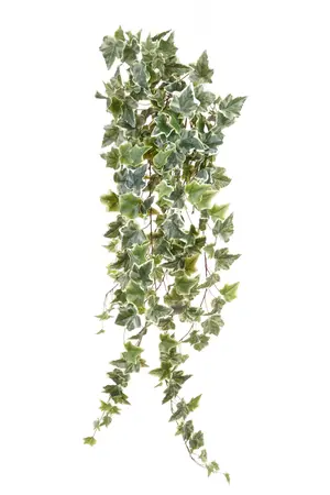 IVY HANGING BUSH GREEN/WHITE 100CM