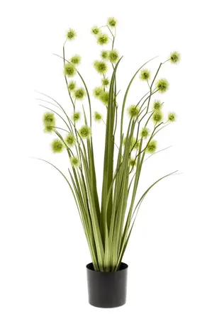 POMPOM GRASS 85CM LT GREEN