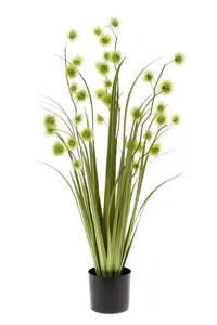 POMPOM GRASS 85CM LT GREEN