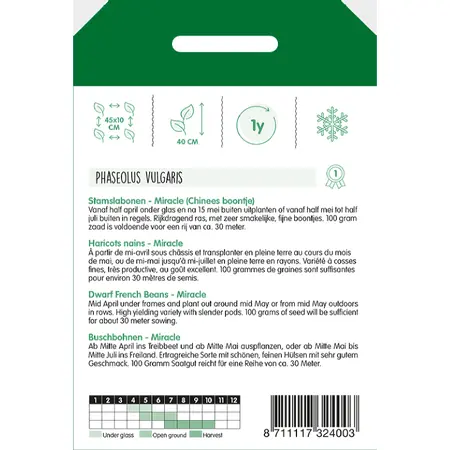 Stamslabonen Chinees Boontje 'Miracle' - afbeelding 2