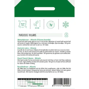 Stamslabonen Chinees Boontje 'Miracle' - afbeelding 2