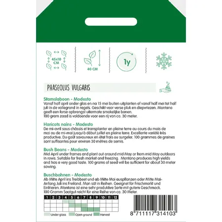 Stamslabonen 'Modesto' - afbeelding 2