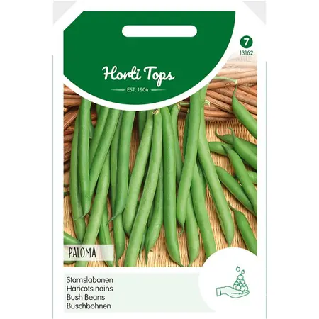 Stamslabonen 'Paloma' - afbeelding 1