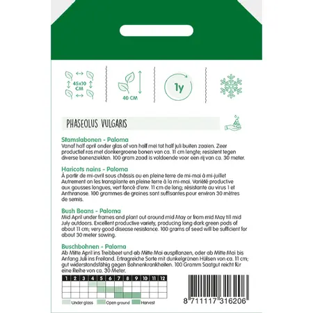 Stamslabonen 'Paloma' - afbeelding 2