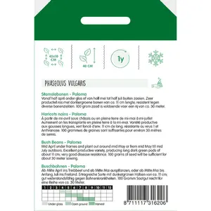 Stamslabonen 'Paloma' - afbeelding 2