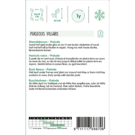 Stamslabonen 'Prelude' - afbeelding 2