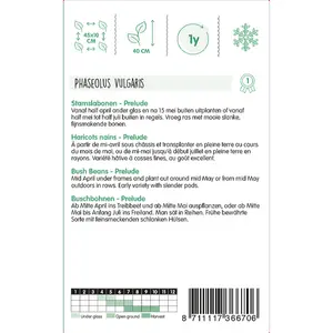 Stamslabonen 'Prelude' - afbeelding 2