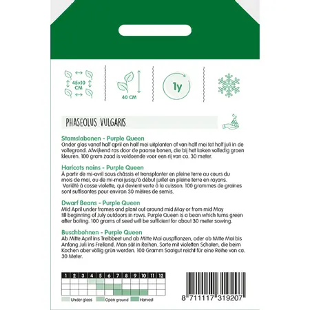 Stamslabonen 'Purple Queen' - afbeelding 2