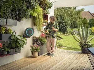 Wandslangenbox - afbeelding 8